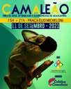 Coletivo Camaleão promove feira de artes, diversidades e gastronomia no sábado (11)